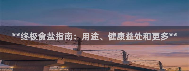 威九国际电子有限公司