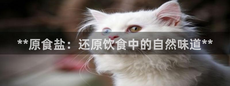 威九国际旗下艺人都有谁