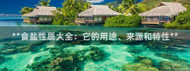 威九国际网站游戏