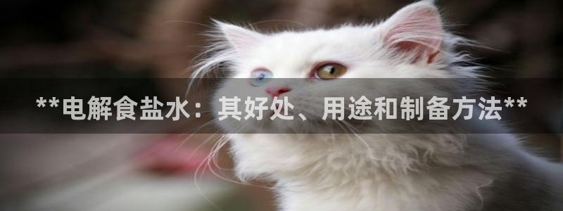 威九国际66cm