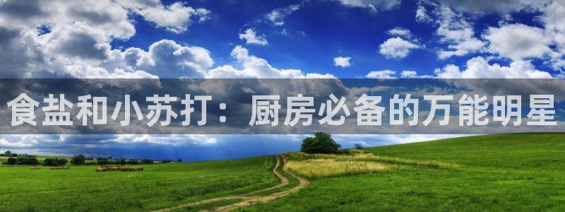 威九国际演员名单