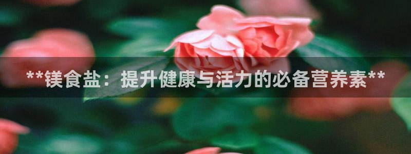 威九国际在哪里