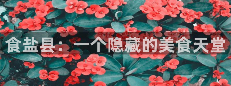 威九国际网站客服电话多少