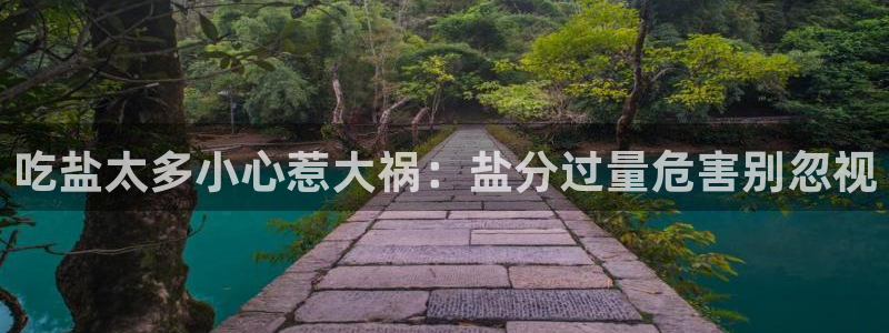威九国际