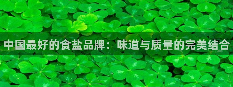 威九国际下载官网app