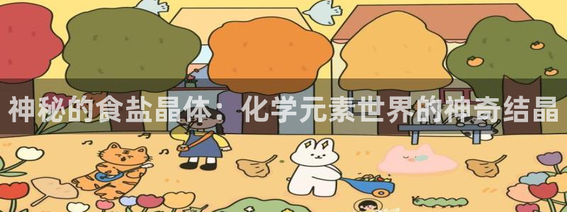 威九国际66m66m