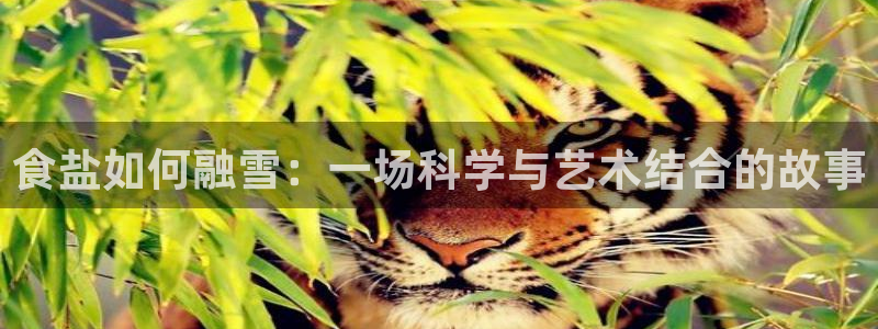 威九国际游戏