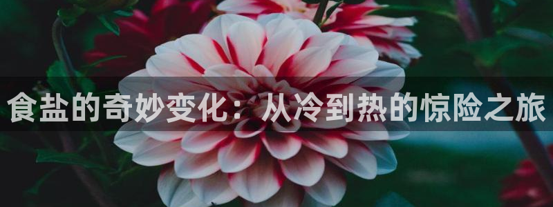 威九国际v96BET