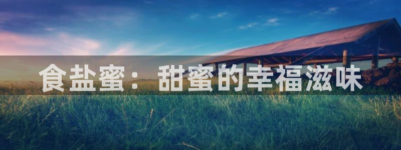 威九国际安全吗
