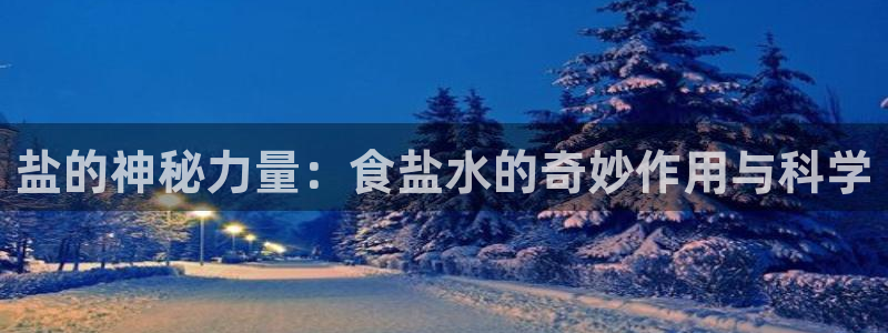 威九国际演员表