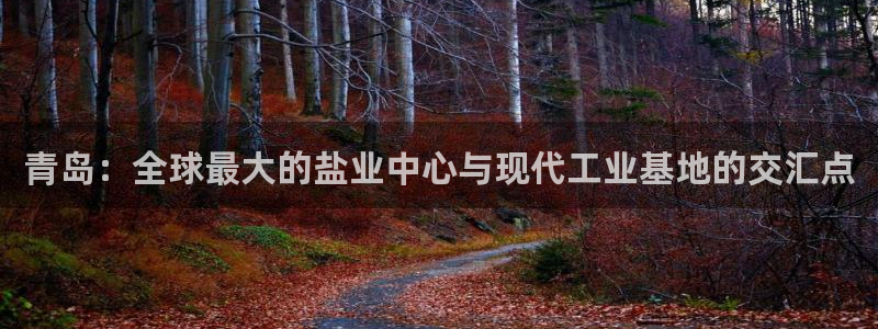 威九国际女