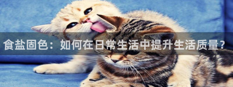 威九国际游戏app(网站)