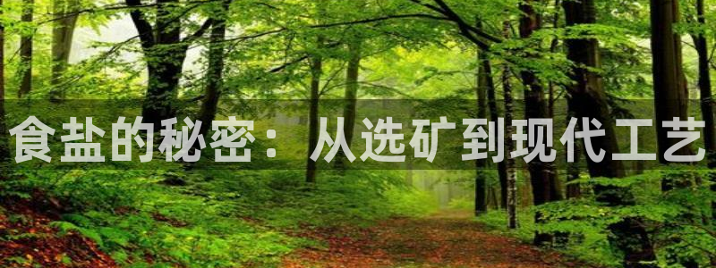 威九国际集团66m一6