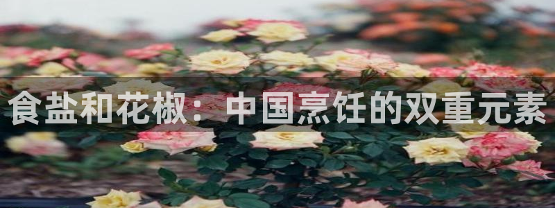 威九国际66m