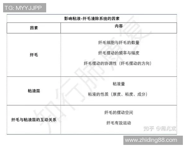 南京网球队的防守策略深度解析与战术应用探讨